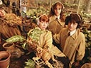 Harijs Poters un noslēpumu kambaris filma
