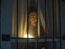 Vilkatis filma