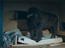 Woodwalkers filma