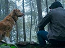 Labs suns filma
