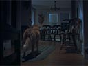 Labs suns filma